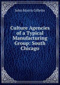 Culture Agencies of a Typical Manufacturing Group: South Chicago.
