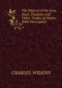 The History of the Iron, Steel, Tinplate and . Other Trades of Wales: With Descriptive .