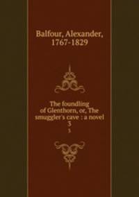 The foundling of Glenthorn, or, The smuggler`s cave : a novel. 3