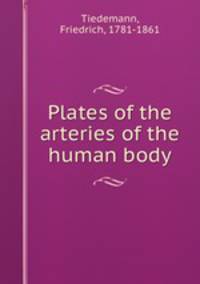 Plates of the arteries of the human body