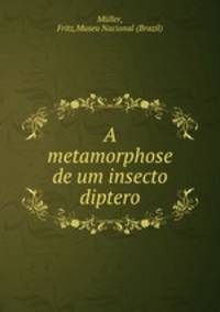 A metamorphose de um insecto diptero