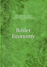 Boiler Economy