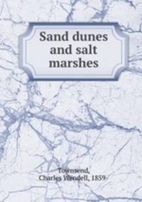 Sand dunes and salt marshes