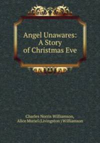 Angel Unawares: A Story of Christmas Eve