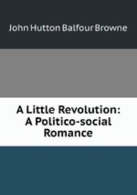 A Little Revolution: A Politico-social Romance