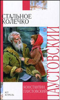 Стальное колечко