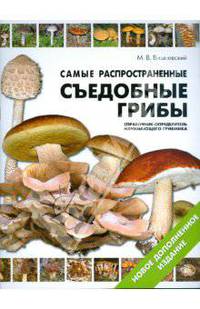 Самые распространенные съедобные грибы.Справочник - определитель начинающего грибника