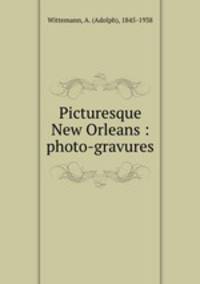 Picturesque New Orleans : photo-gravures