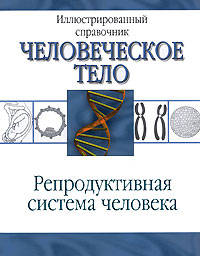 Иллюстрированный справочник. Репродуктивная система человека