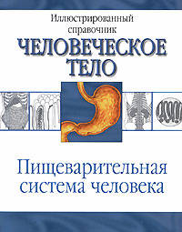 Пищеварительная система человека