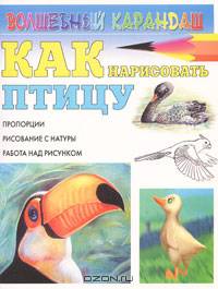 Как нарисовать птицу
