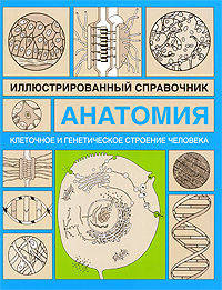 Анатомия. Иллюстрированный справочник. Клеточное и генетическое строение человека