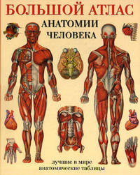 Большой атлас анатомии человека. Лучшие в мире анатомические таблицы