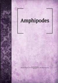 Amphipodes
