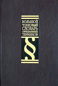 Большой толковый словарь официальных терминов: Более 8 000 слов