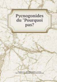 Pycnogonides du "Pourquoi pas?
