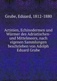 Actinien, Echinodermen und Wurmer des Adriatischen- und Mittelmeers, nach eigenen Sammlungen beschrieben von Adolph Eduard Grube