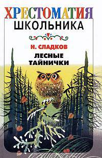 Лесные тайнички