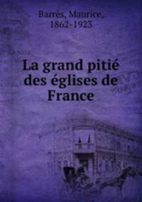 La grand pitie des eglises de France