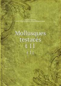 Mollusques testacs. t 11