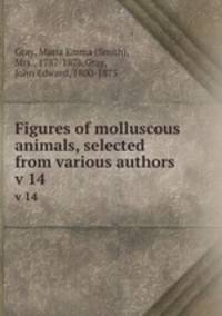 Figures of molluscous animals, selected from various authors. v 14