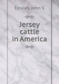 Jersey cattle in America