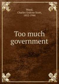 Too much government
