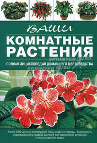Ваши комнатные растения.