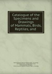Catalogue of the Specimens and Drawings of Mammals, Birds, Reptiles, and .