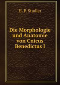 Die Morphologie und Anatomie von Cnicus Benedictus l