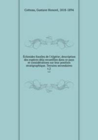 Echinides fossiles de l