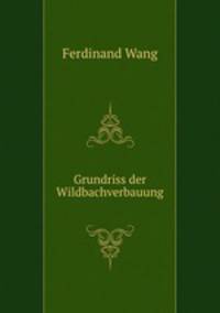 Grundriss der Wildbachverbauung