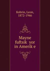 Mayne fuftsik yor in Amerike