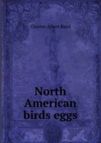 North American birds eggs