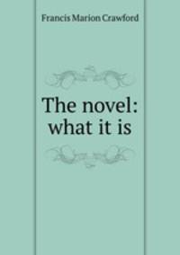 The novel: what it is