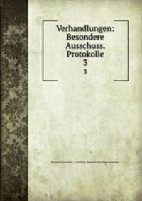 Verhandlungen: Besondere Ausschuss. Protokolle. 3