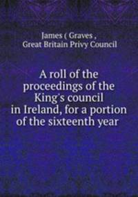 A roll of the proceedings of the King