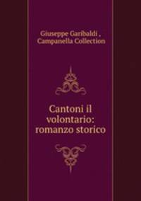 Cantoni il volontario: romanzo storico