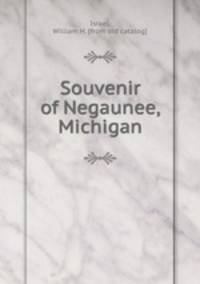 Souvenir of Negaunee, Michigan