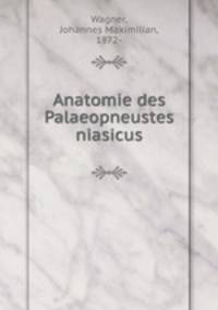 Anatomie des Palaeopneustes niasicus