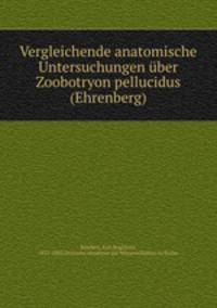 Vergleichende anatomische Untersuchungen uber Zoobotryon pellucidus (Ehrenberg)