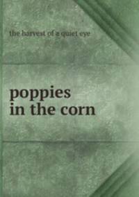 poppies in the corn