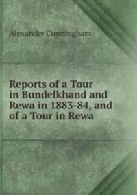 Reports of a Tour in Bundelkhand and Rewa in 1883-84, and of a Tour in Rewa .