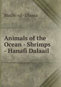 Animals of the Ocean - Shrimps - Hanafi Dalaail