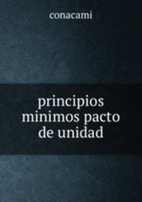 principios minimos pacto de unidad