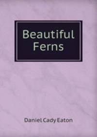Beautiful Ferns