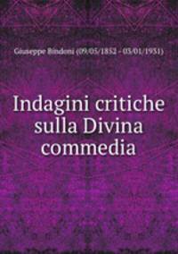 Indagini critiche sulla Divina commedia