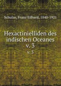 Hexactinielliden des indischen Oceanes. v. 3
