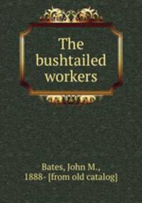 The bushtailed workers