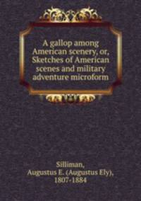 A gallop among American scenery, or, Sketches of American scenes and military adventure microform